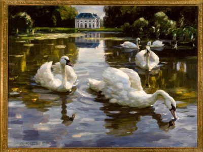 Swans in Nymphenburg by Alexander Köster