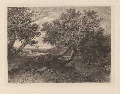 Stream with Overhanging Trees by Alexandre Calame