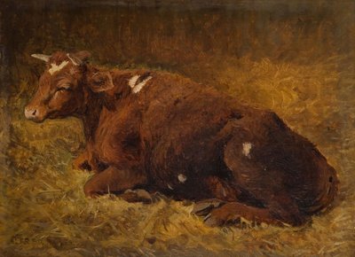 A Cow Lying on the Ground by Alfred Baker
