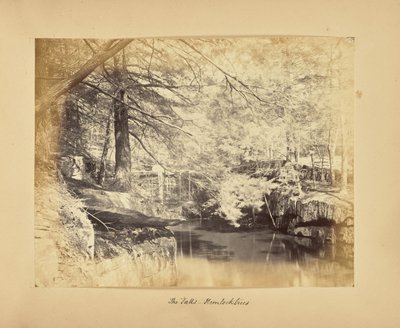The Falls - Hemlock Trees by Alfred Booth