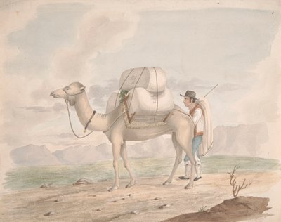 Loaded Camel by Alfred Diston