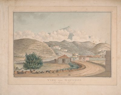 View from Martianez, Port Orotava, Tenerife by Alfred Diston