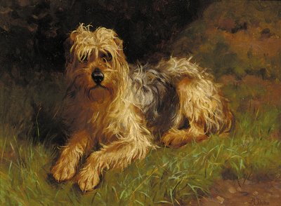 Soft Coated Wheaten Terrier by Alfred Duke