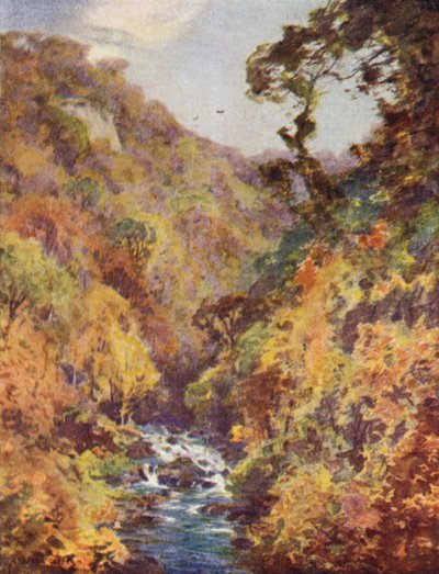 The Dargle, County Wicklow by Alfred Heaton Cooper