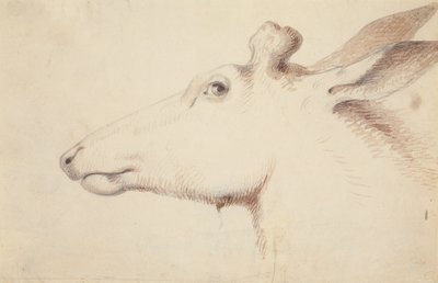 Elk, c.1837 by Alfred Jacob Miller