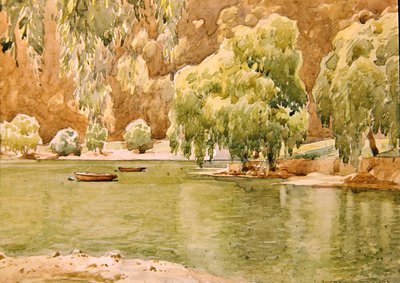 Naini Tal by Alfred Priest