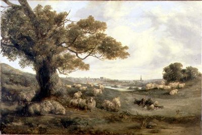 View of Norwich by Alfred Priest