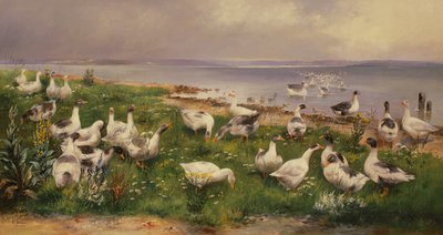 Geese by Alfred Schonian