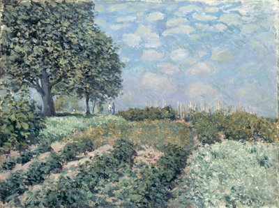 The Market Gardens by Alfred Sisley