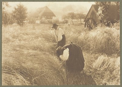 Early Morn by Alfred Stieglitz