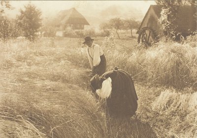 Early Morn, 1894 by Alfred Stieglitz