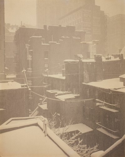From the Back-Window by Alfred Stieglitz