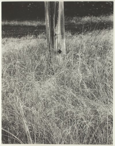 Grass and Flagpole by Alfred Stieglitz