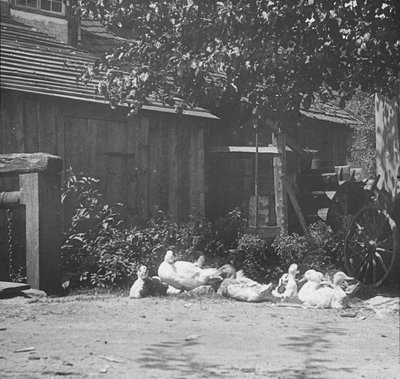 Gutach, 1894 by Alfred Stieglitz