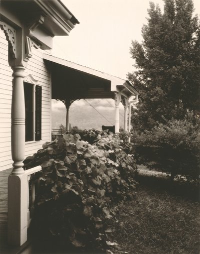 House and Grape Leaves by Alfred Stieglitz