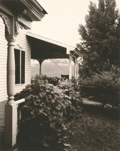 House and Grape Leaves by Alfred Stieglitz