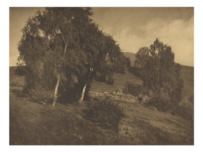 Landscape, The Tyrol by Alfred Stieglitz