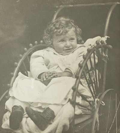 Untitled (Howard Schubart in Carriage), 1893 by Alfred Stieglitz