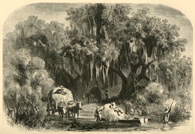 The Moss-Gatherers, 1872 by Alfred Rudolph Waud