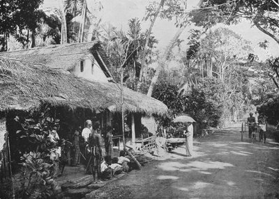 Boralesgamuwa by Alfred William Amandus Plate