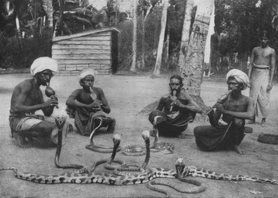 Snake Charmers, c1890, 1910 by Alfred William Amandus Plate