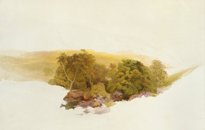 Martin