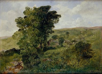 View of Nantlle, Caernarvonshire, 1855 by Alfred William Hunt