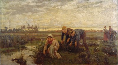 Rush Cutters by Alice Havers