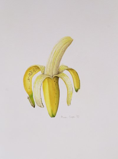A Half-peeled Banana, 1997 by Alison Cooper