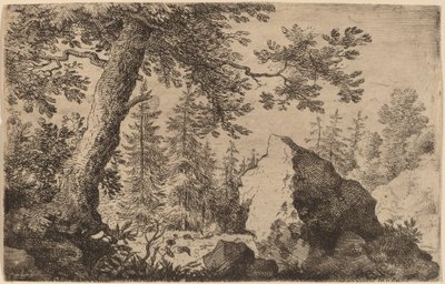 Boulder in the Woods by Allart van Everdingen