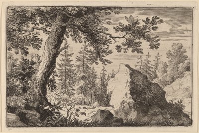 Boulder in the Woods by Allart van Everdingen