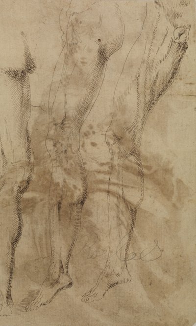 Three Studies of a Male Leg by Alonso Berruguete