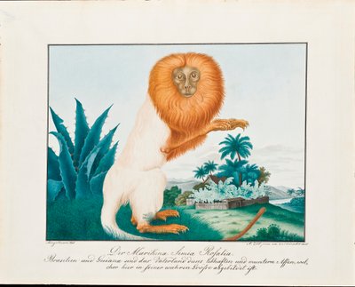 The White Saki by Aloys Zötl