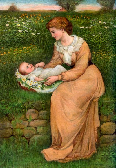A Bed of Daisies, 1905 by Alphage Brewer