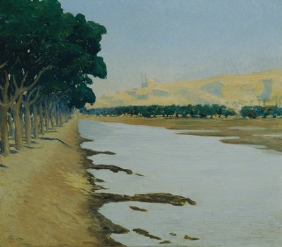View of the Citadel of Cairo by Alphons Leopold Mielich