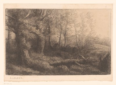 Forest View by Alphonse Legros (attributed to)