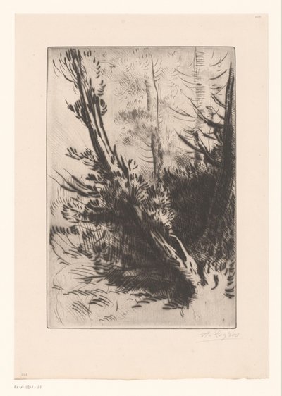 Trees by Alphonse Legros (signed by artist)