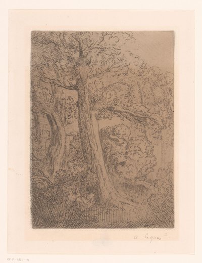 Two Trees by Alphonse Legros (signed by artist)