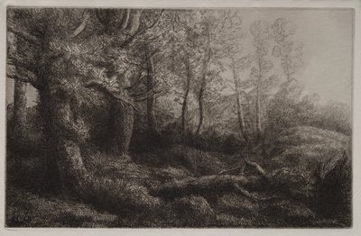 A Woodland Study by Alphonse Legros