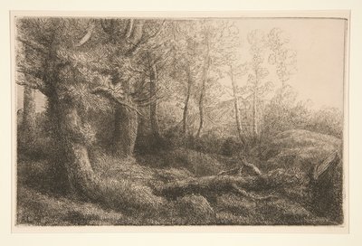 A Woodland Study by Alphonse Legros