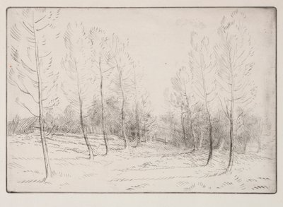 Avenue of Poplars by Alphonse Legros