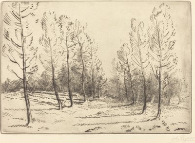 Avenue of Poplars by Alphonse Legros