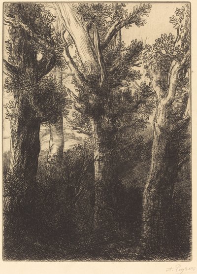 German Forest, Downley by Alphonse Legros