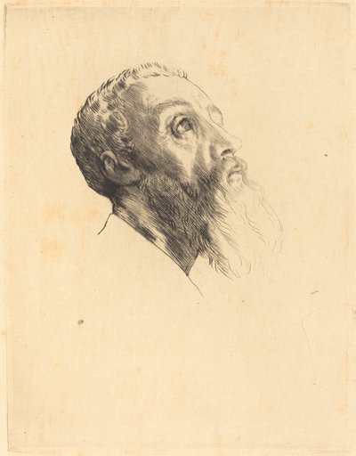 Head of a Model by Alphonse Legros