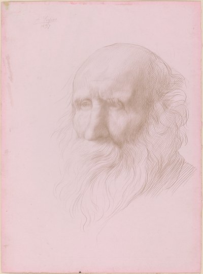 Head of an Old Man by Alphonse Legros