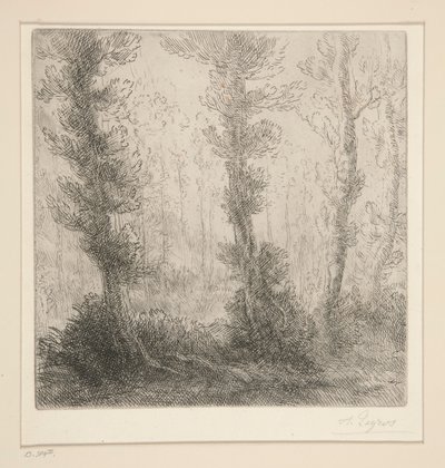 The Little Lake by Alphonse Legros