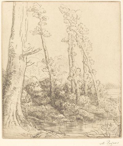 Little Pond by Alphonse Legros