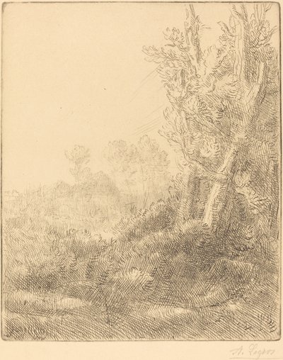 Old Village by Alphonse Legros