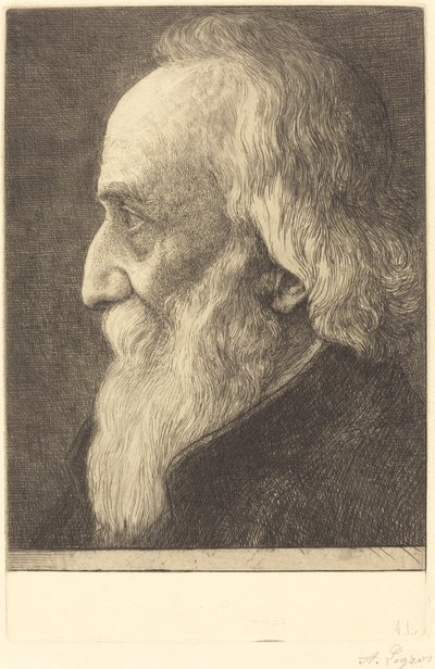 Self-Portrait, 13th plate by Alphonse Legros