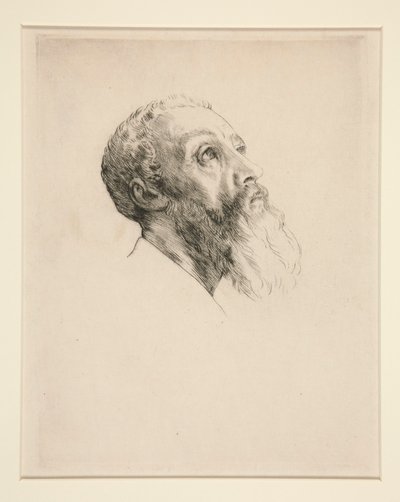 Head of Model by Alphonse Legros